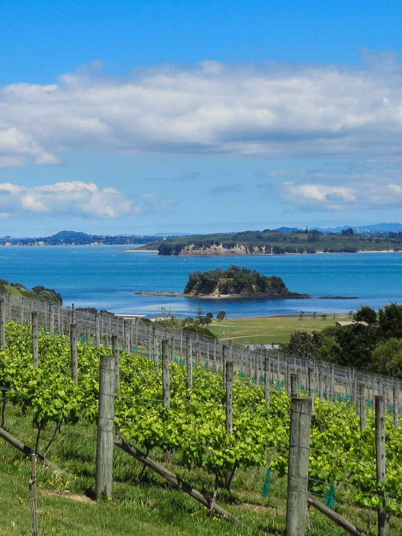 Waiheke Winegrowers - Island Of Wine 1