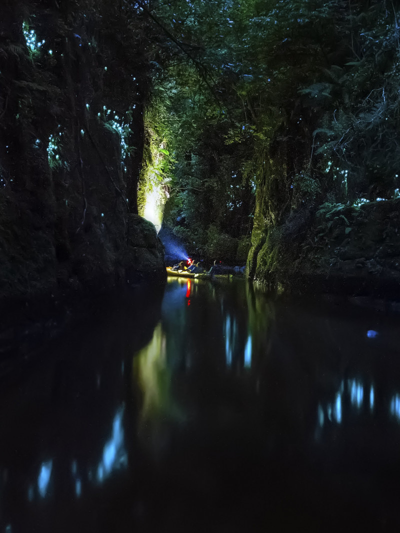 Waimarino Evening Glowworm Kayak Tour Tauranga 2