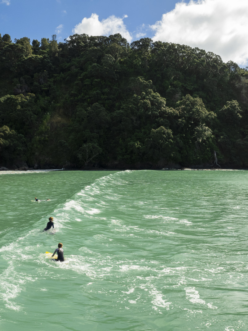 Explore the Road Less Travelled in Whakatāne 1